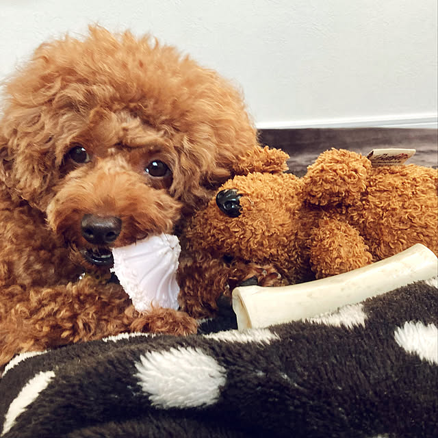 MOMOMAMAさんの実例写真