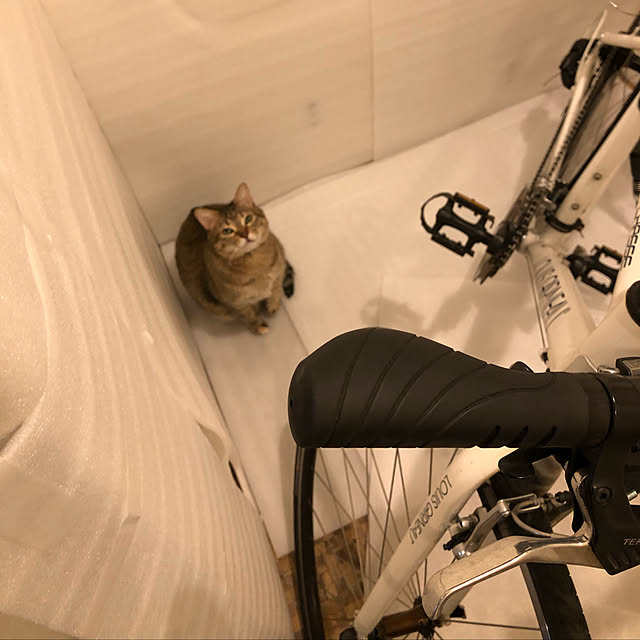 ochiyasuさんの実例写真