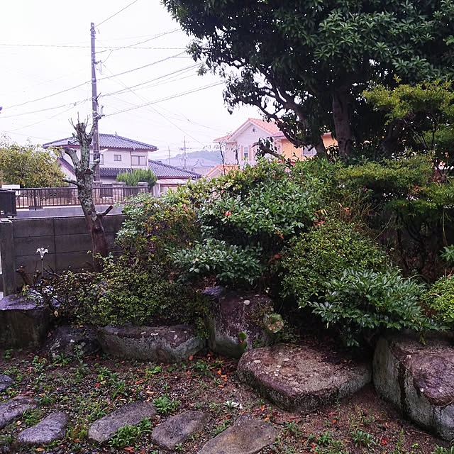 kumiさんの実例写真