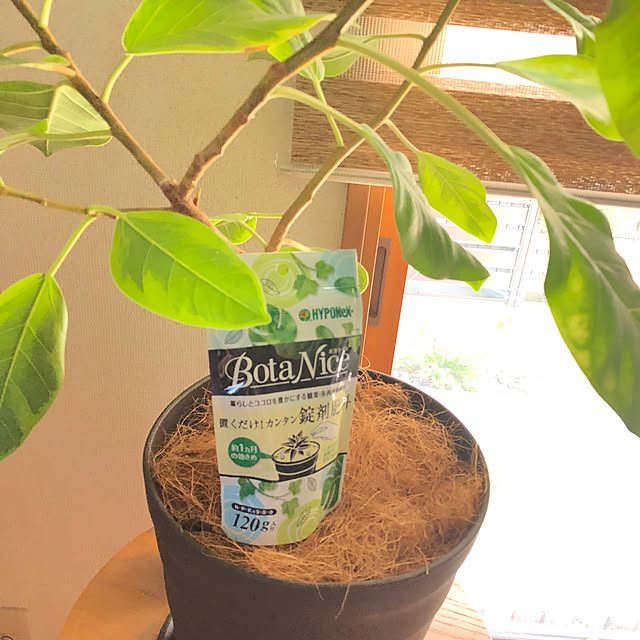 CoffeeHouseさんの部屋