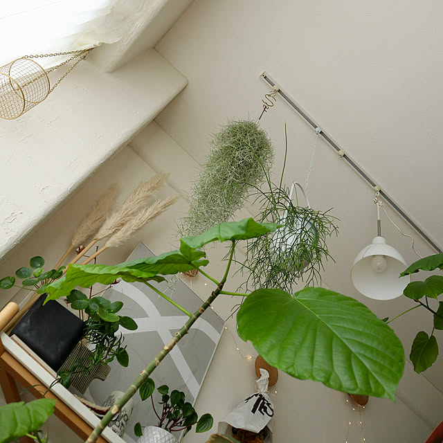 Hisayoさんの部屋