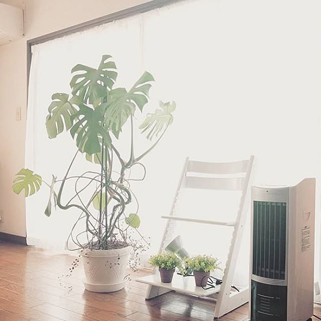 RURIさんの実例写真