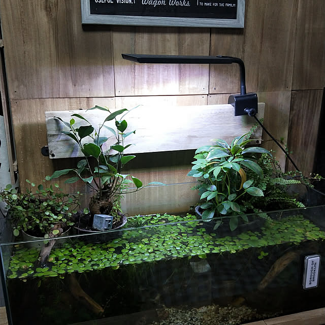opiopiopiさんの実例写真