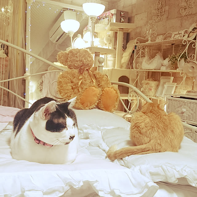 asuminさんの実例写真