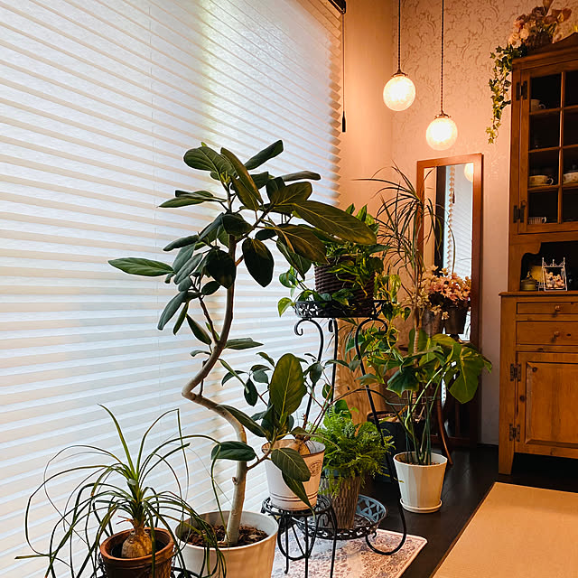 yumirilさんの部屋