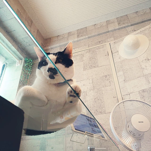 asuminさんの実例写真