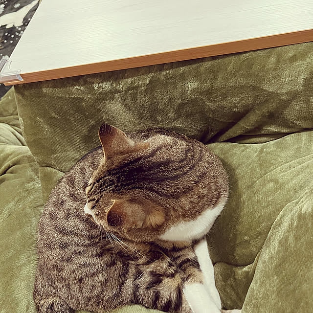 marinkarinさんの実例写真