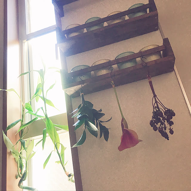 miya.ayaさんの実例写真
