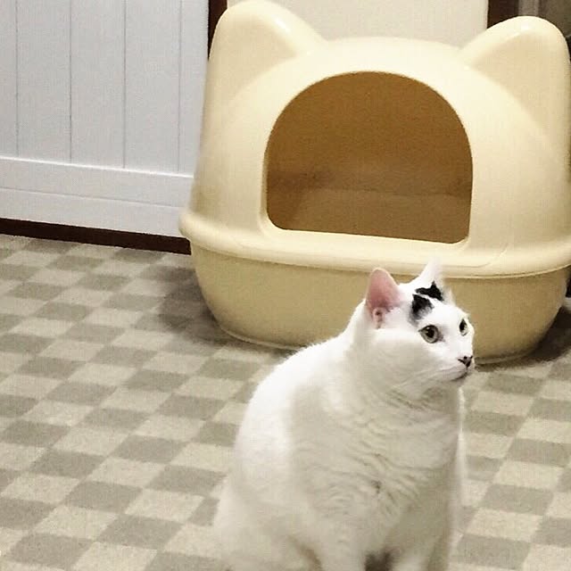 miさんの実例写真