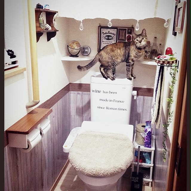 Chapter_3さんの実例写真