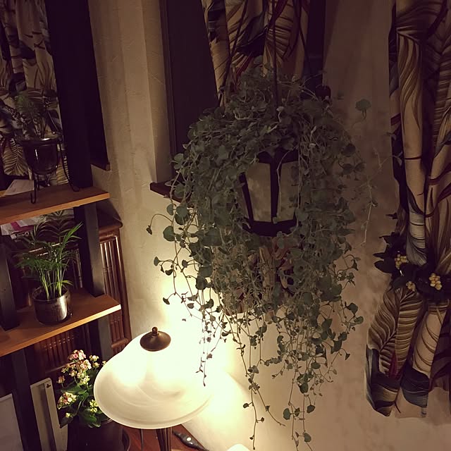 MoiElsaさんの実例写真