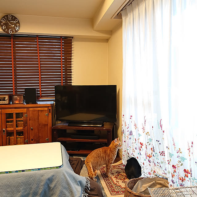 okyosan101さんの実例写真
