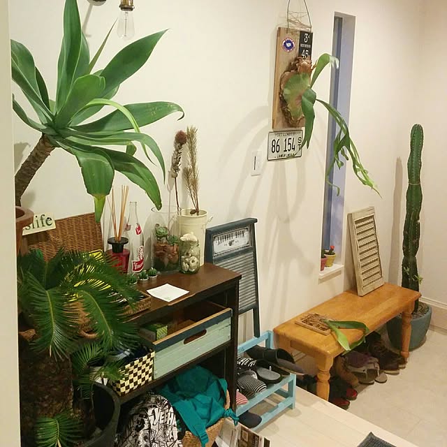 Isseiさんの実例写真