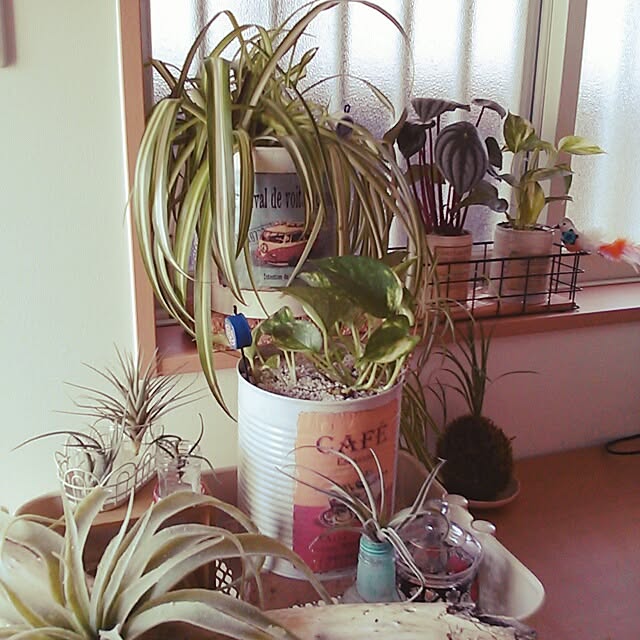 hiroさんの実例写真