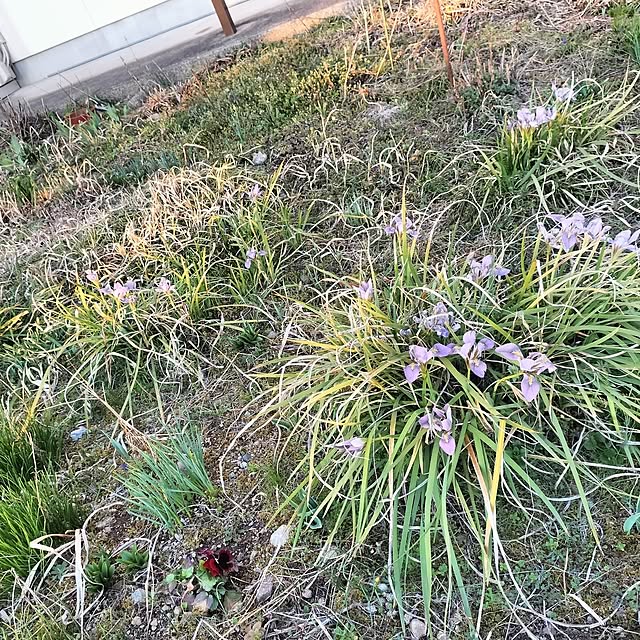 sumimarumiさんの部屋