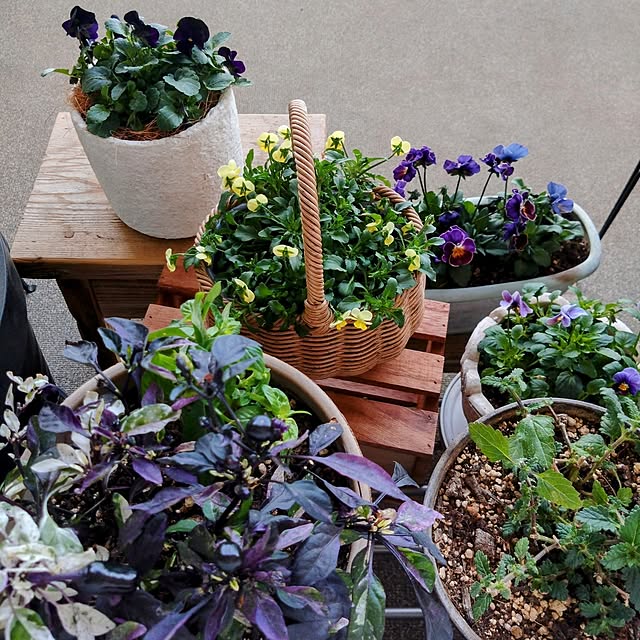 kerochanさんの部屋