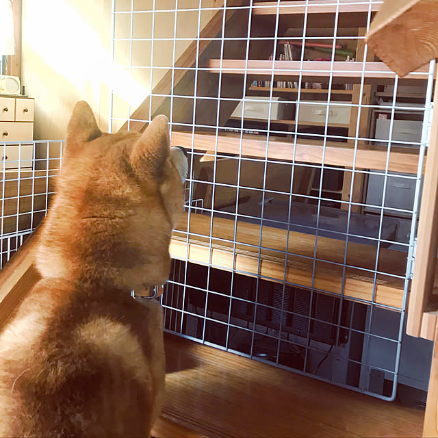 hachi2018さんの実例写真