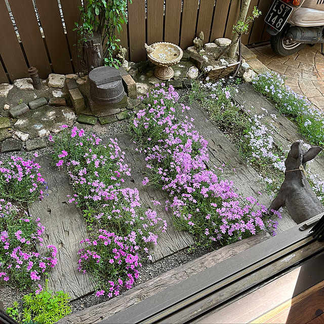 tabasaさんの部屋