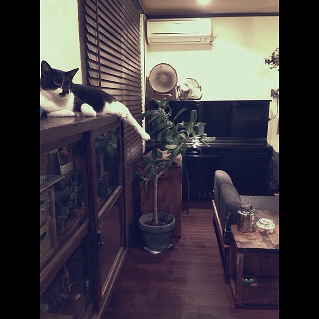 jnkaiさんの実例写真