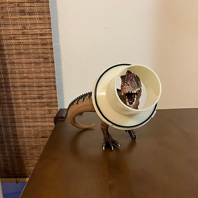 koshiregutyoさんの実例写真
