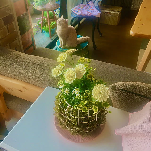 naokoさんの実例写真