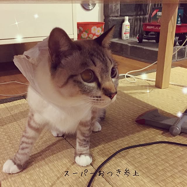 tsukiyuzuさんの実例写真