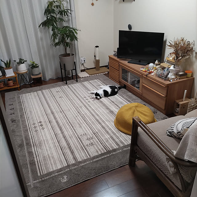 yuuさんの実例写真