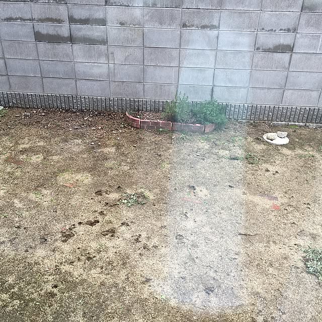 memekoさんの実例写真