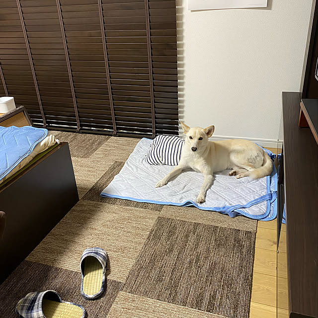 tanboさんの実例写真