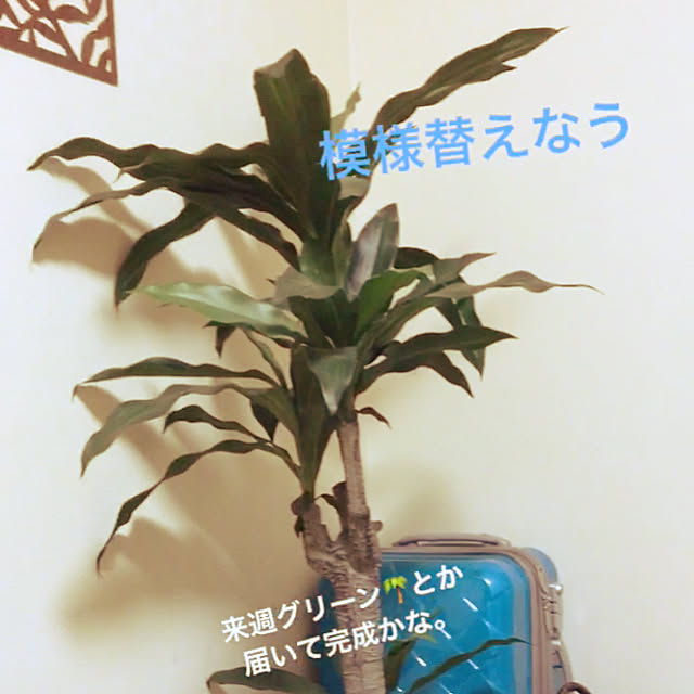 kuchinさんの実例写真