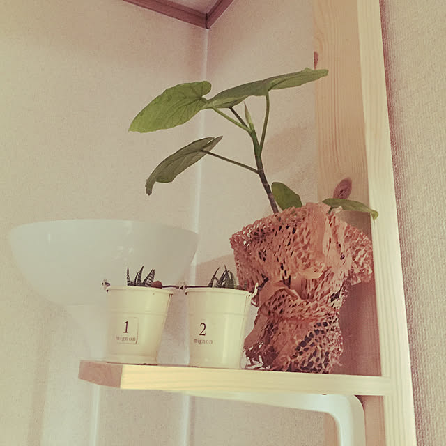 charさんの実例写真