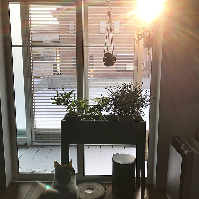tiger7327さんの実例写真