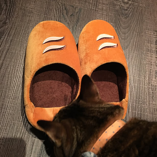 tokotokoさんの実例写真