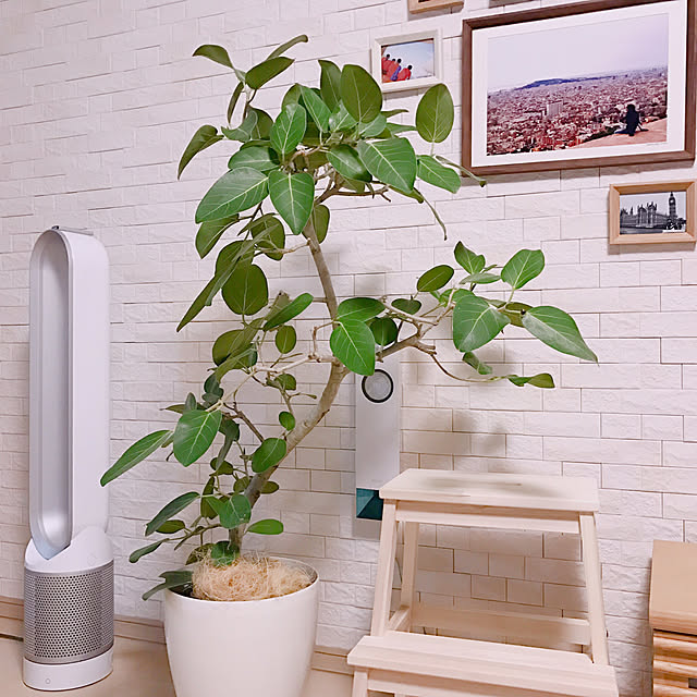 niconicos_roomさんの実例写真