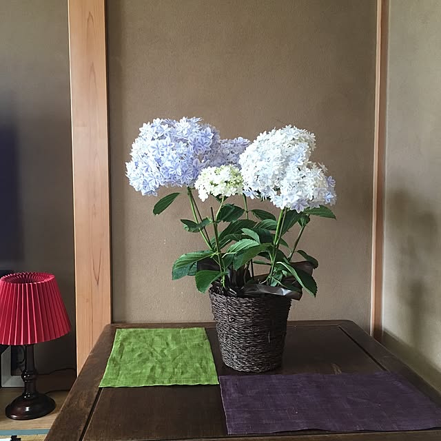 Norikoさんの実例写真