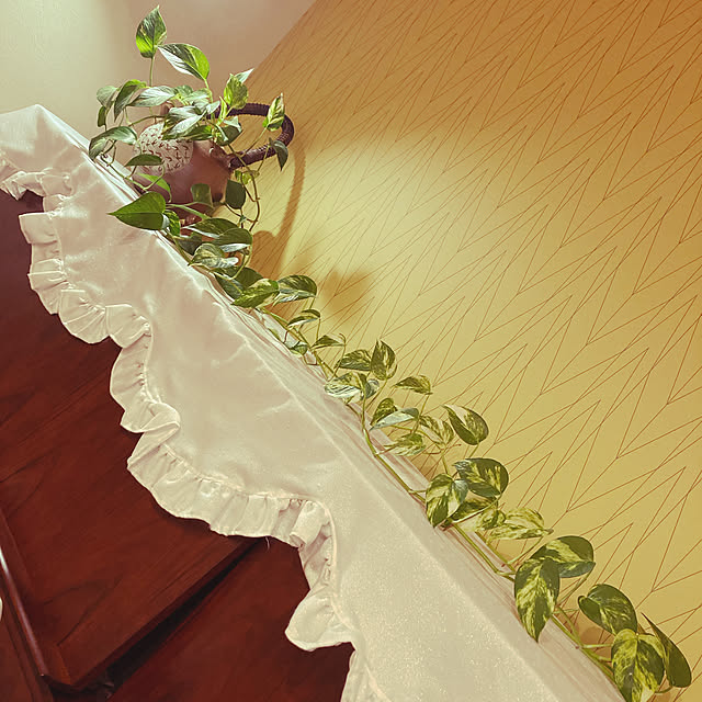 YukikunMonsterさんの実例写真