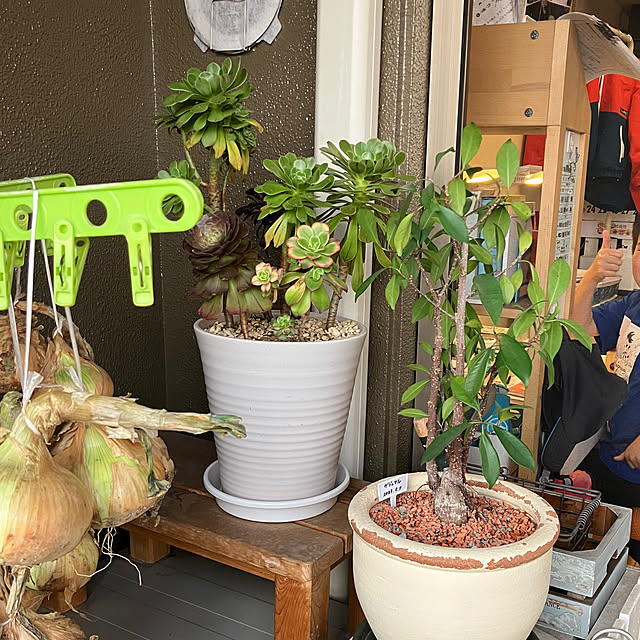 koshiregutyoさんの部屋