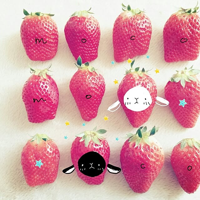 moco-mocoさんの実例写真
