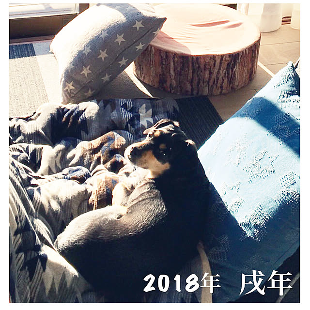 mugijunさんの実例写真
