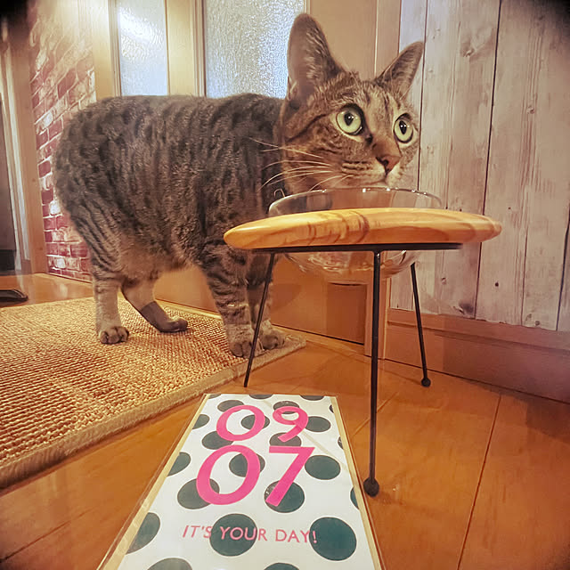 Mさんの実例写真