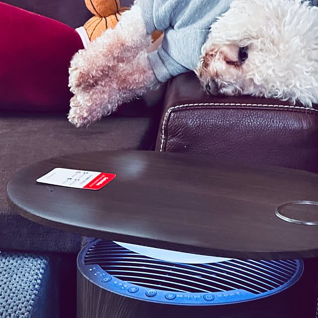 chacoさんの部屋