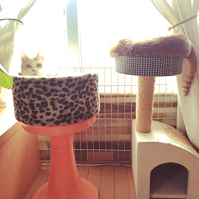kou-kitiさんの実例写真
