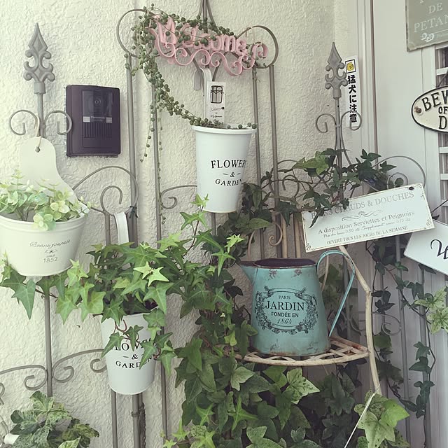greenroseさんの実例写真