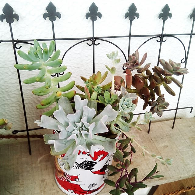 VERANDARJUNさんの実例写真