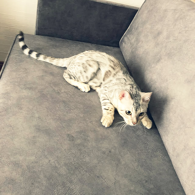 yuさんの実例写真