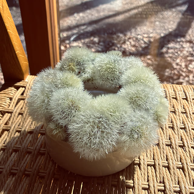 marucoさんの部屋