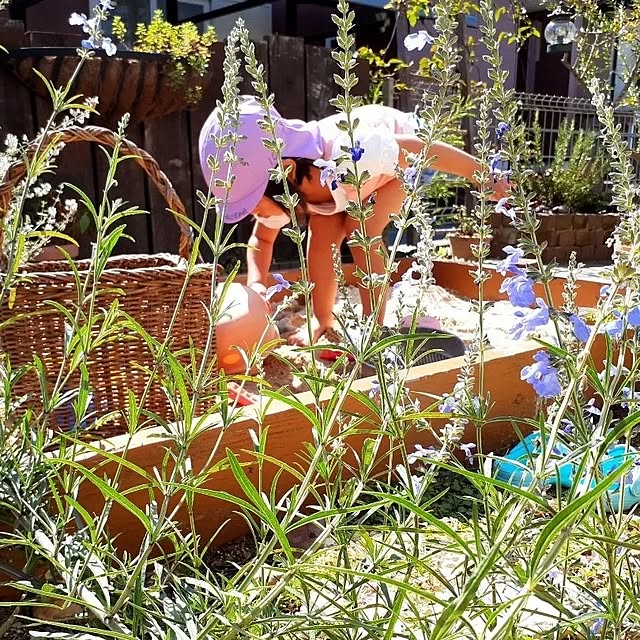GoldenBird.MAKIさんの実例写真