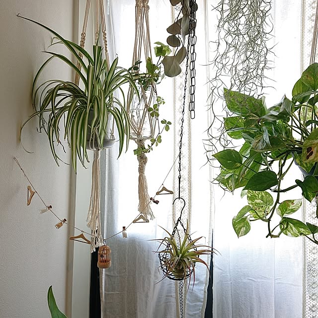 otokiさんの部屋