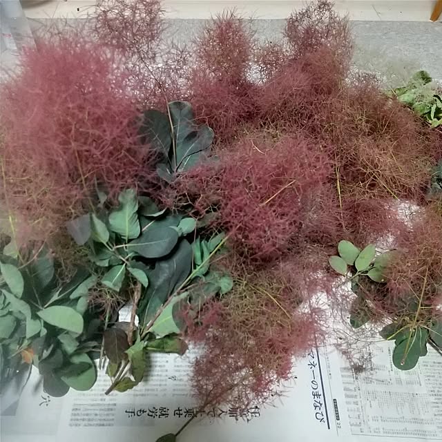 tomomiさんの部屋