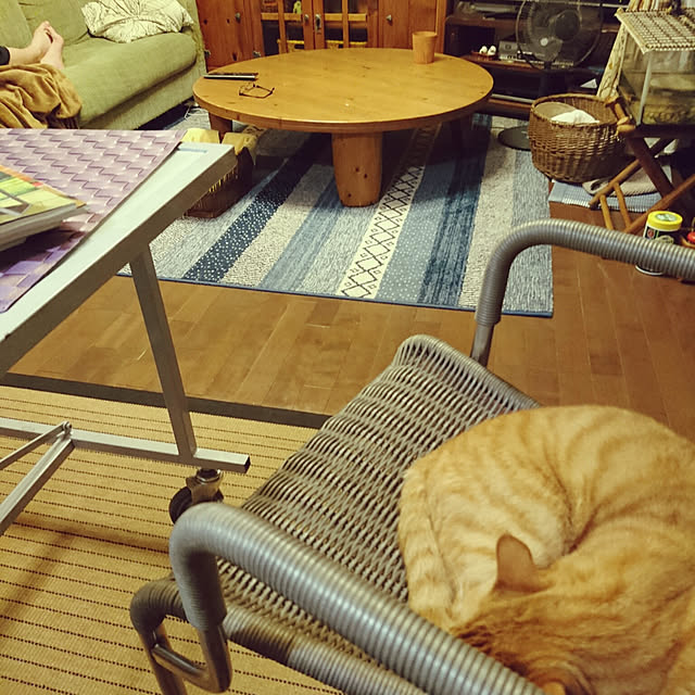 okyosan101さんの実例写真